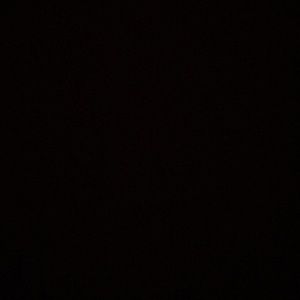 Meet your Posher, Whitney